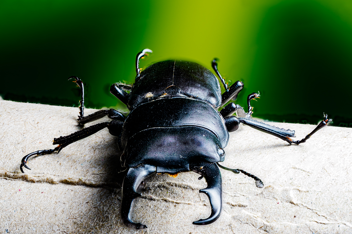 2025-10-20 17-28-10 (B,R4,S2)A9301911-2.jpg