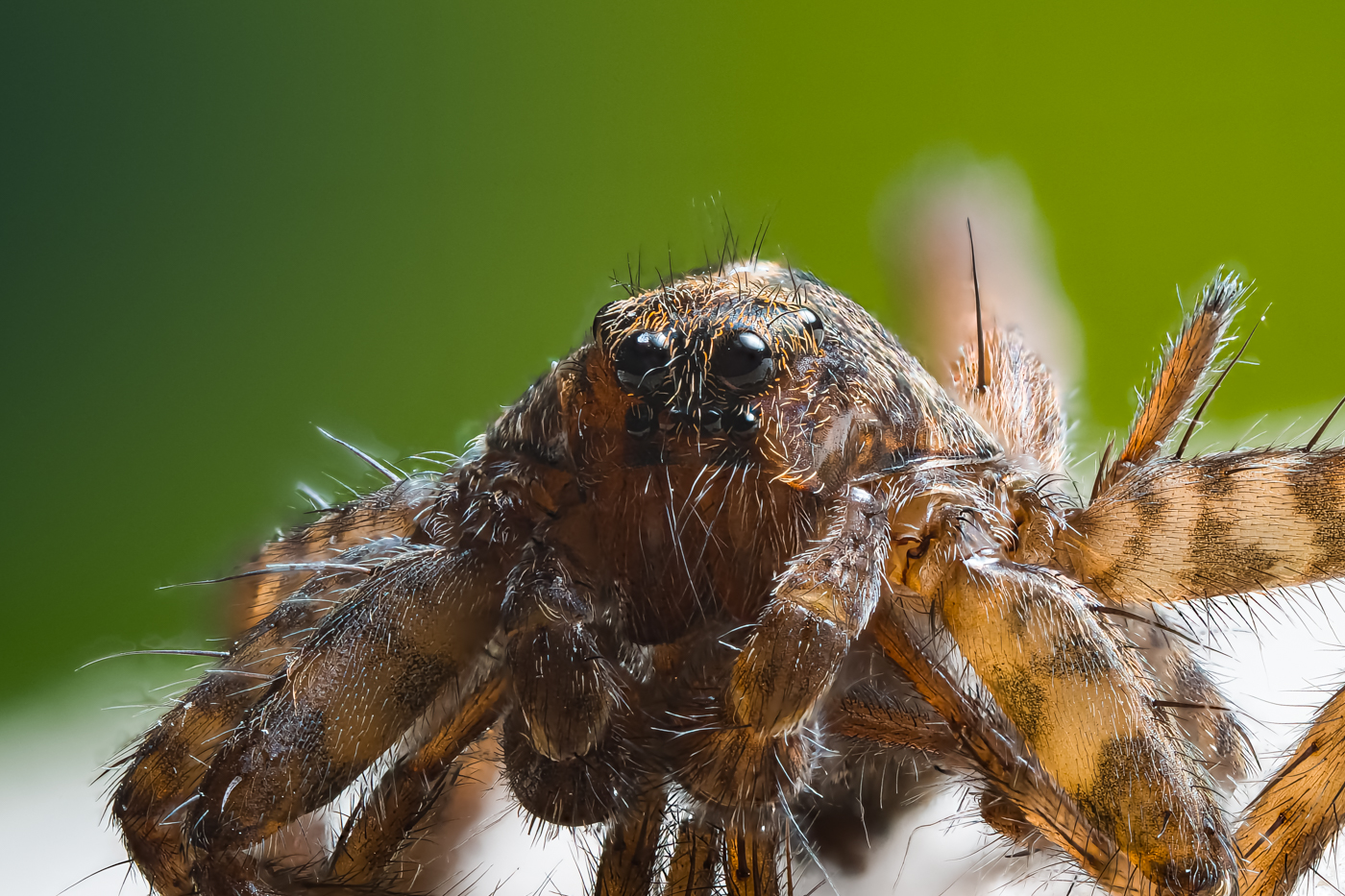 2025-10-23 20-40-03 (B,R1-2.jpg