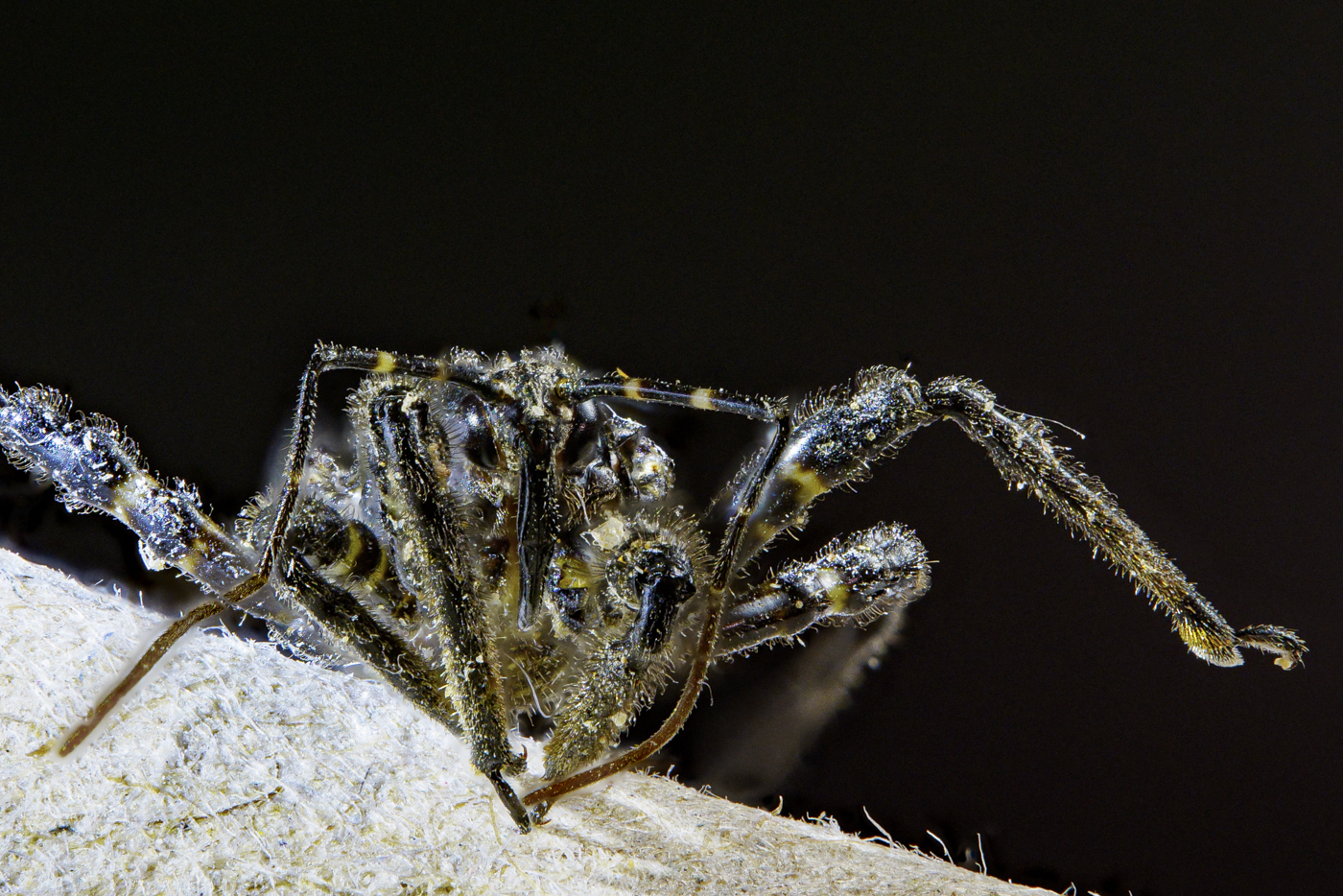 2025-10-29 20-19-19 (B,R4,S2)A9303362-2.jpg