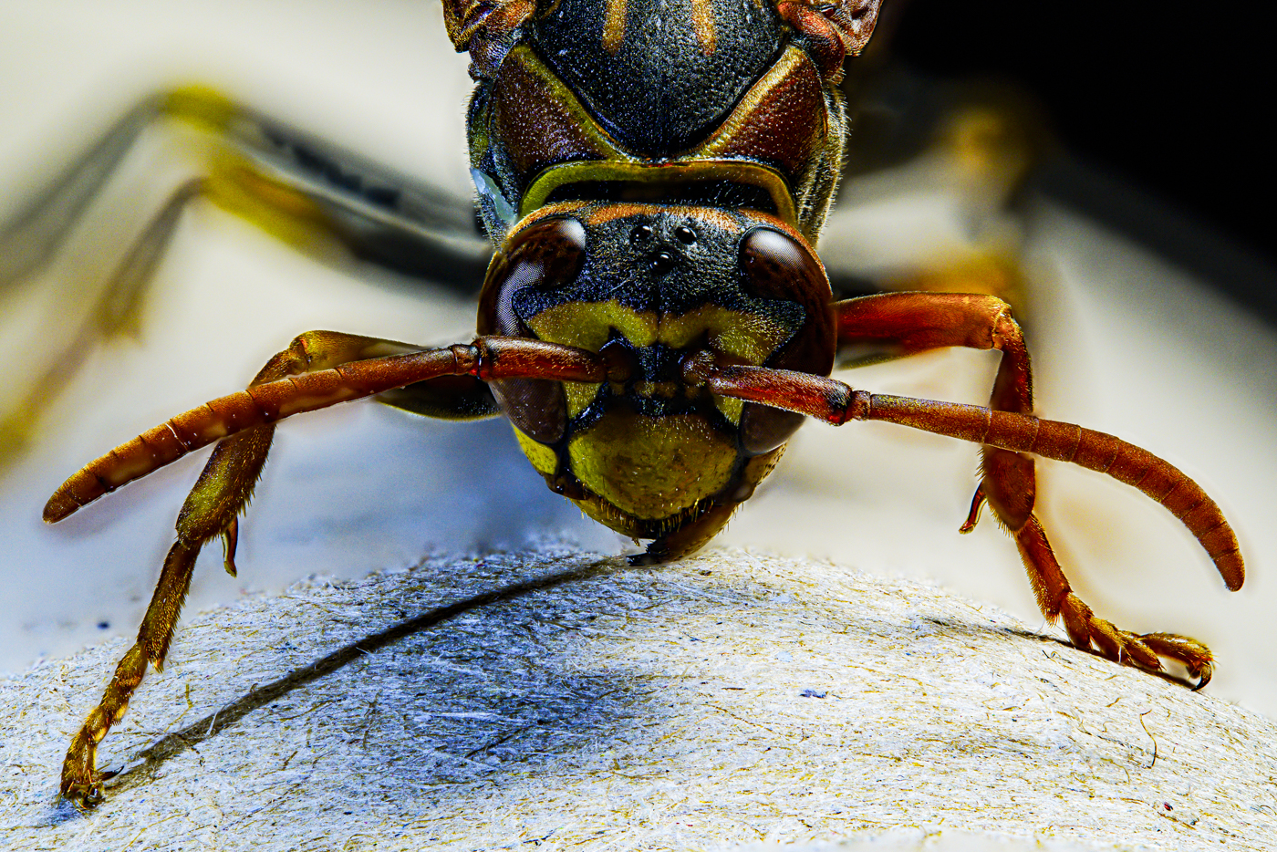 2025-10-29 20-14-29 (B,R4,S2)A9303665-2.jpg