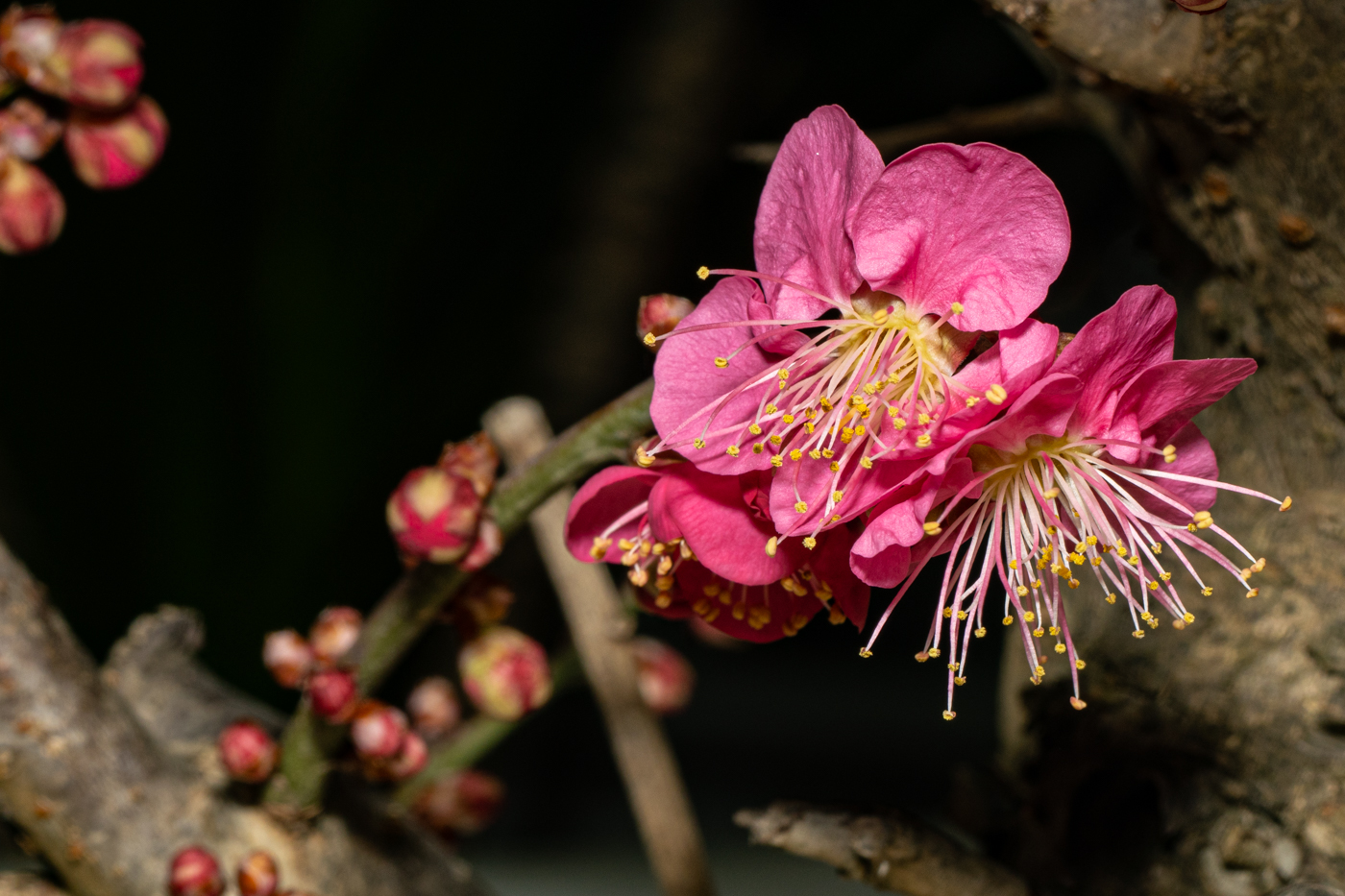 DSC00084 - 복사본.jpg